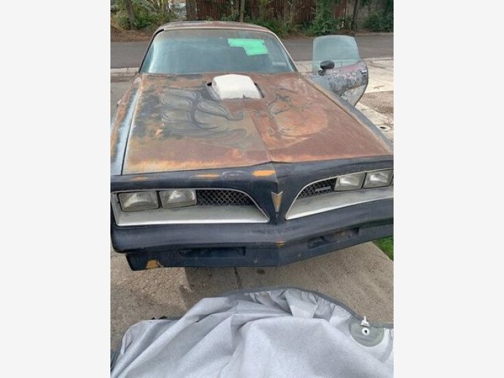 Thumbnail Photo undefined for 1978 Pontiac Firebird Trans Am